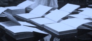 ENGL3651 Mitchell Library Assoc Prof Maryanne Dever (2)